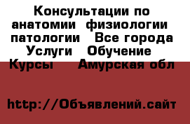 Консультации по анатомии, физиологии, патологии - Все города Услуги » Обучение. Курсы   . Амурская обл.